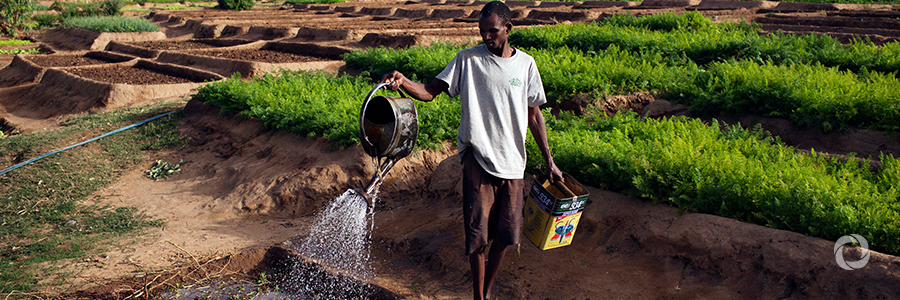 African Development Bank offers financing opportunities for Zambia’s water and agriculture sectors African Development Bank offers financing opportunities for Zambia’s water and agriculture sectors