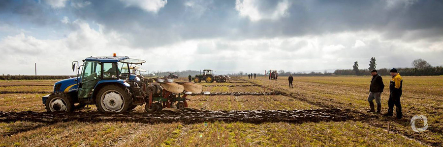 EIB invests €40 million in agri-tech company Devenish Nutrition EIB invests €40 million in agri-tech company Devenish Nutrition