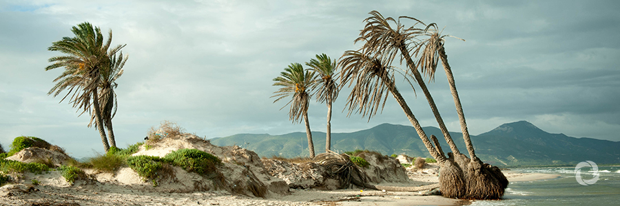 Combating the effects of climate change in the Caribbean Combating the effects of climate change in the Caribbean