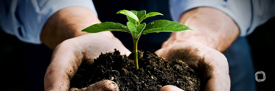 Healthy soils are essential to achieve Zero Hunger, peace and prosperity