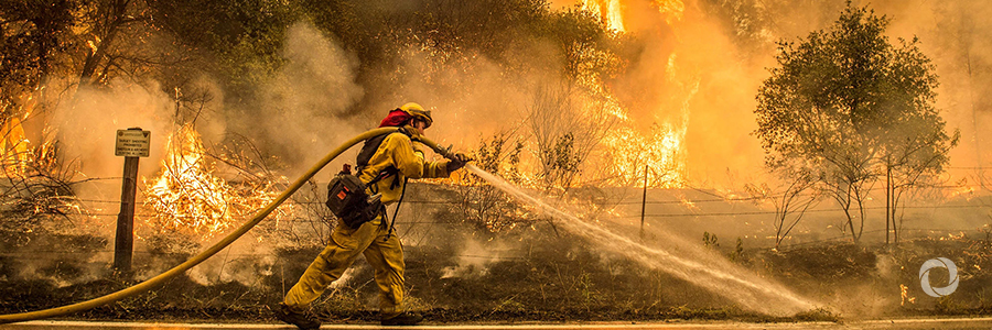Fiery summer a gauge of planet’s health Fiery summer a gauge of planet’s health