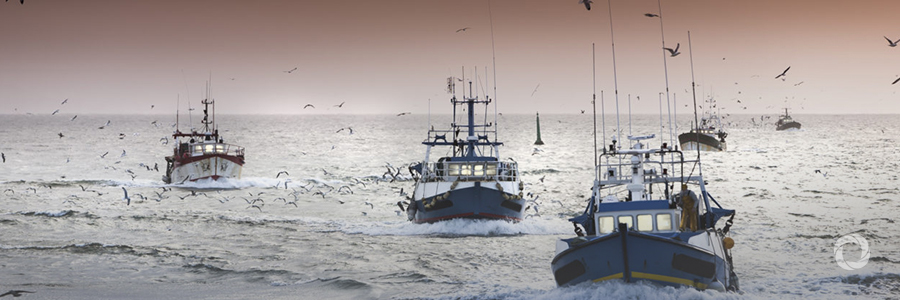 New $10 million boost for sustainable fishing and new jobs in Solomon Islands