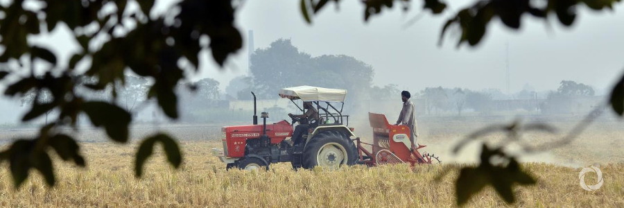 Farming effectively despite heat and drought Farming effectively despite heat and drought