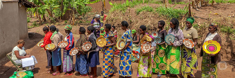 Small-scale horticulture project transforming lives in Kenya Small-scale horticulture project transforming lives in Kenya