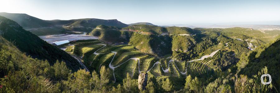 UN Environment and partners show global restoration success in unprecedented study UN Environment and partners show global restoration success in unprecedented study
