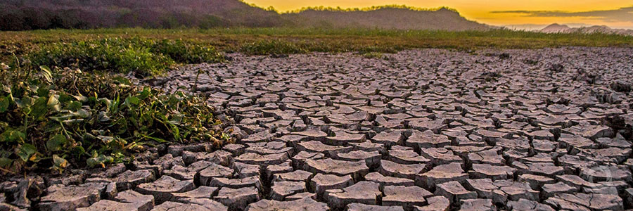 FAO and WFP concerned about the impact of drought on the most vulnerable in Central America FAO and WFP concerned about the impact of drought on the most vulnerable in Central America