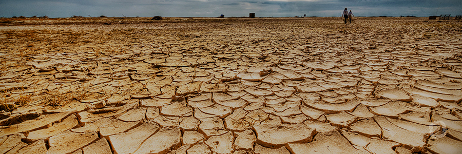 Australia boosts aid by A$1.8 billion for drought-hit farmers