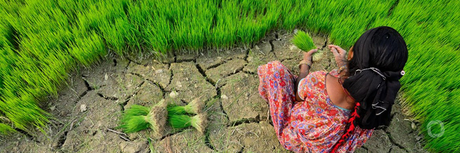 Why smallholder farmers are the key to combating global warming Why smallholder farmers are the key to combating global warming