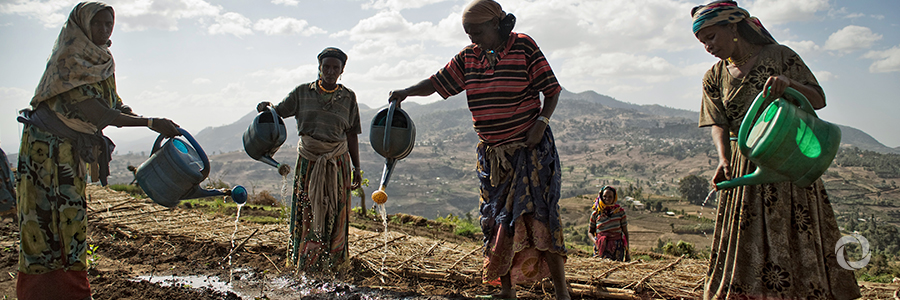 REDD+ in Burkina Faso – supporting climate-smart development in communities