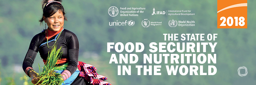 Global hunger continues to rise, new UN report says Global hunger continues to rise, new UN report says