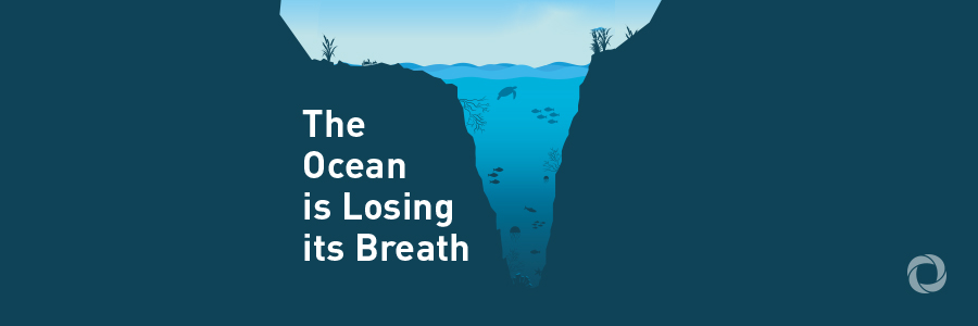 Urgent appeal for more marine and climate protection