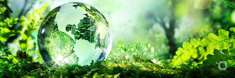 More needs to be done to protect biodiversity! More needs to be done to protect biodiversity!