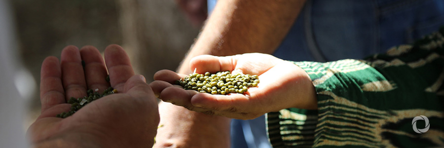Investing in nutrition for a better future in Afghanistan