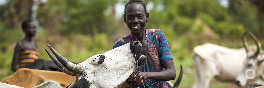 African Development Bank boosts Cameroon livestock and fish farming with €84 million loan African Development Bank boosts Cameroon livestock and fish farming with €84 million loan