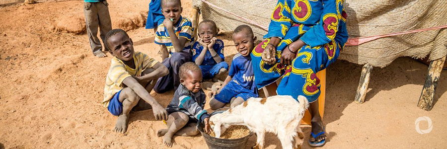 Niger: World Bank approves $80 million to support refugees and host communities Niger: World Bank approves $80 million to support refugees and host communities