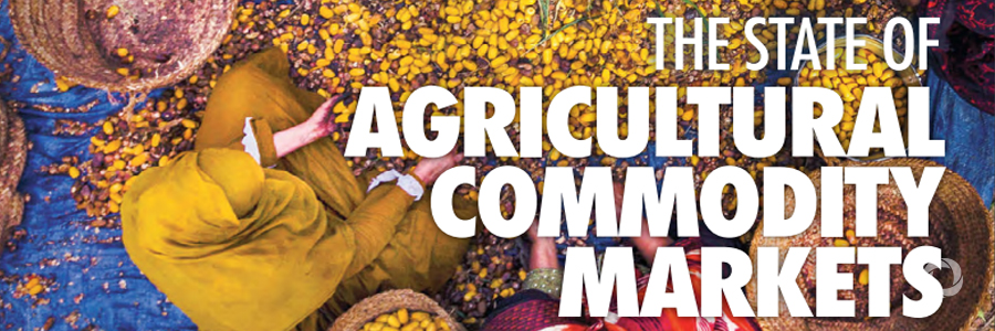 As climate change reshapes agriculture, international trade will be increasingly important to feeding the world As climate change reshapes agriculture, international trade will be increasingly important to feeding the world