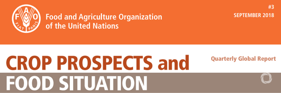 Conflicts and climatic shocks aggravate current food insecurity in many countries