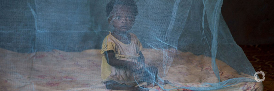 Global Fund and Unitaid to counter insecticide resistance with innovative insecticide-treated mosquito nets Global Fund and Unitaid to counter insecticide resistance with innovative insecticide-treated mosquito nets