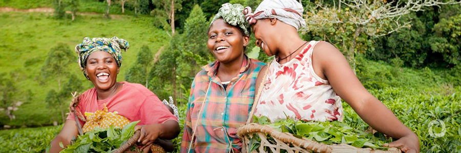 African Development Bank approves $50mn facility to support Nigeria’s rural populations African Development Bank approves $50mn facility to support Nigeria’s rural populations