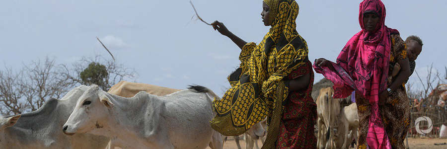 EU and FAO scale up efforts to boost resilience to food crises