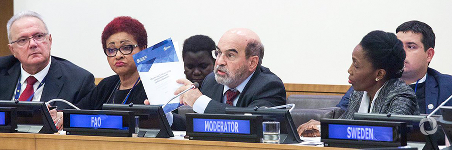 FAO focus on breaking the cycle between conflict and hunger