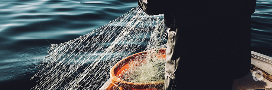 How blockchain technology can end slavery in the fishing industry