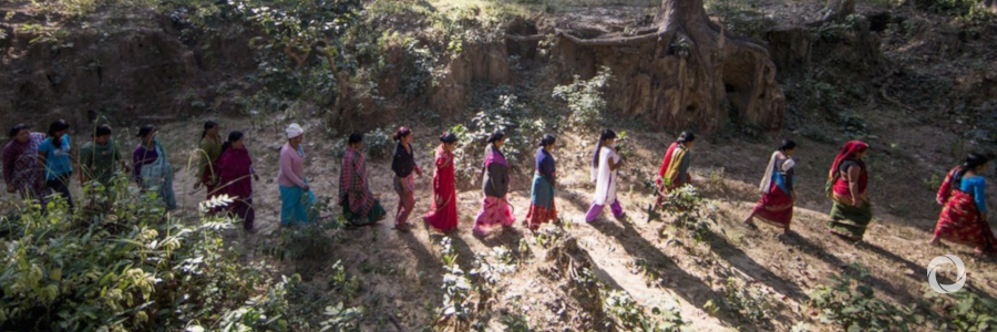 Women empowered to fight climate change while raising forests and finances in Nepal