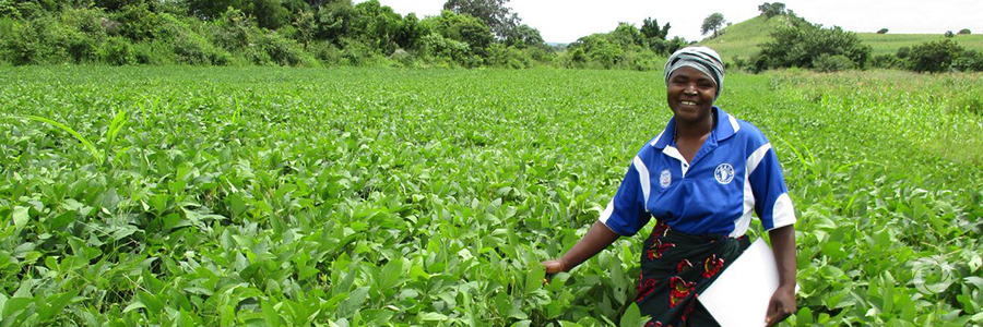 IFAD and the Lab launch partnership to drive finance to African smallholder farmers combating climate change