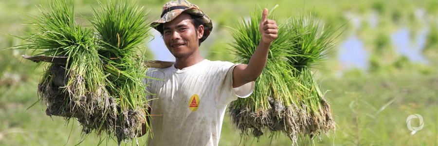 FMO partners with Maha Agriculture Microfinance & Harvesting Inc to make lending to farmers more efficient in Myanmar FMO partners with Maha Agriculture Microfinance & Harvesting Inc to make lending to farmers more efficient in Myanmar