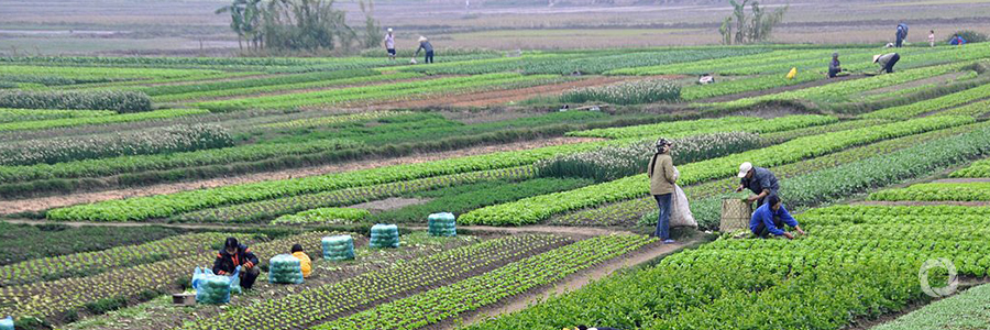 EU and FAO reaffirm commitment to build a more sustainable future for ...