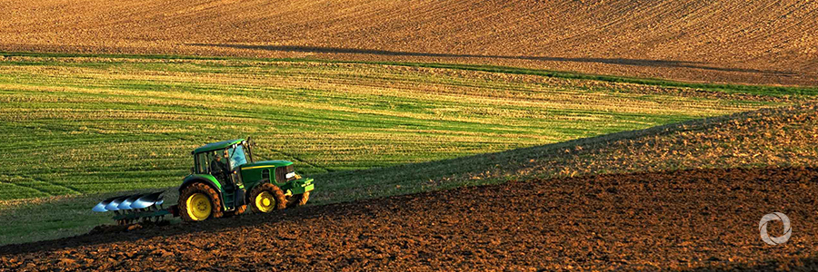 Suriname will enhance its agricultural sector with IDB support Suriname will enhance its agricultural sector with IDB support