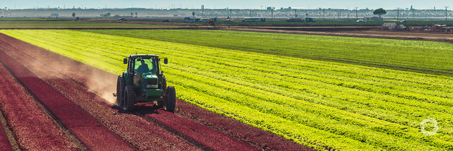 AUC launches the Sustainable Agricultural Mechanization Framework AUC launches the Sustainable Agricultural Mechanization Framework