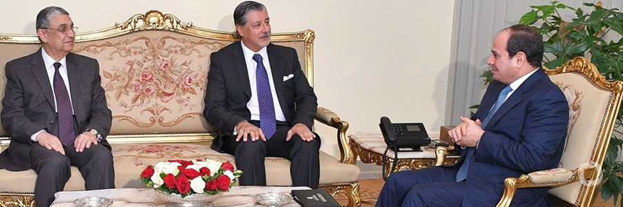 IRENA's Adnan Z. Amin meets Egyptian President Abdel Fattah el-Sisi to discuss Egypt’s energy future IRENA's Adnan Z. Amin meets Egyptian President Abdel Fattah el-Sisi to discuss Egypt’s energy future