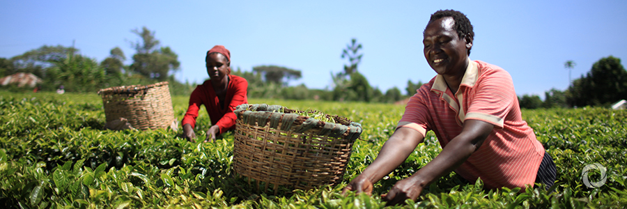 New support to foster agricultural lending in developing countries New support to foster agricultural lending in developing countries