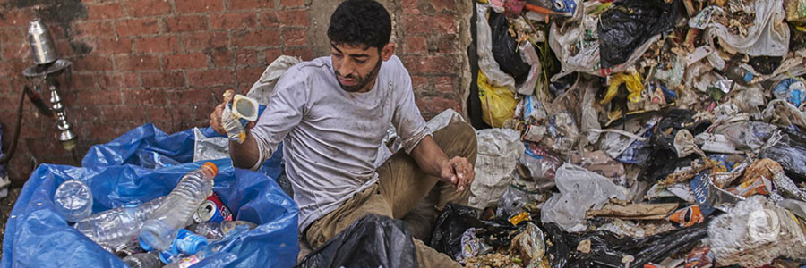 Reducing food loss and waste - Egypt Reducing food loss and waste - Egypt