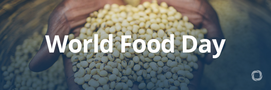 World Food Day World Food Day