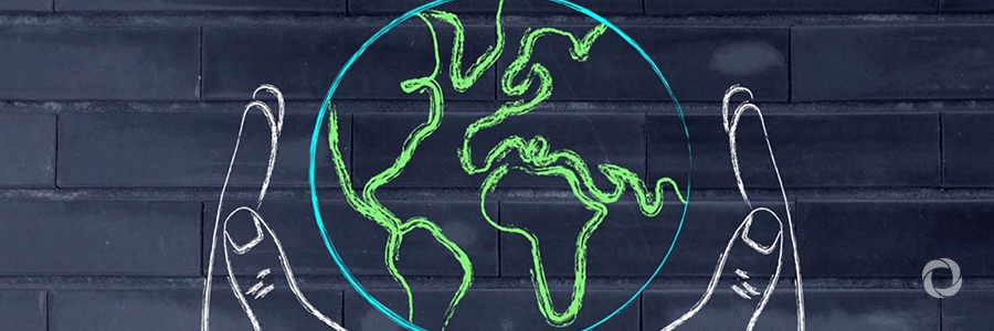 Biodiversity in social and environmental impact assessments