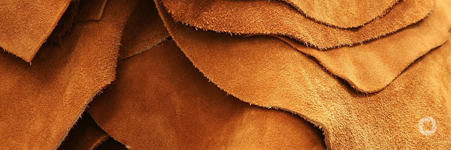 AFD supports leather sector in Palestine AFD supports leather sector in Palestine