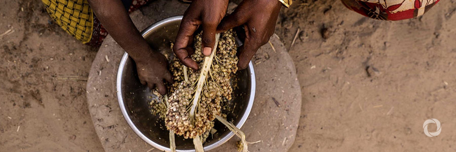 UN Secretary-General, World Bank President and Ministers from Developing and Donor Countries welcome the Famine Action Mechanism UN Secretary-General, World Bank President and Ministers from Developing and Donor Countries welcome the Famine Action Mechanism