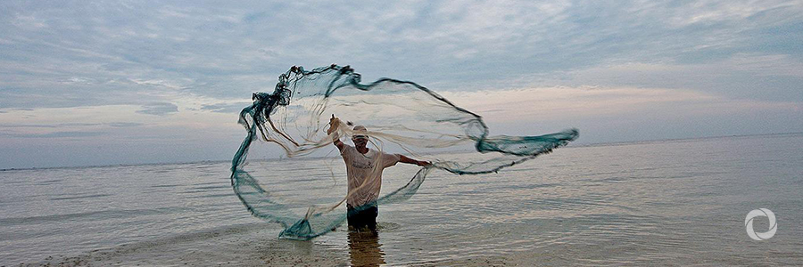 EU and the Republic of Korea join forces in fight against Illegal, Unreported and Unregulated fishing EU and the Republic of Korea join forces in fight against Illegal, Unreported and Unregulated fishing