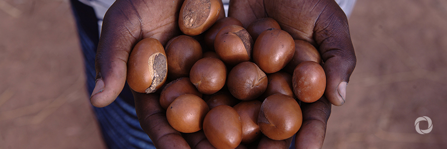 Lifting people out of poverty by investing in sustainable business Lifting people out of poverty by investing in sustainable business