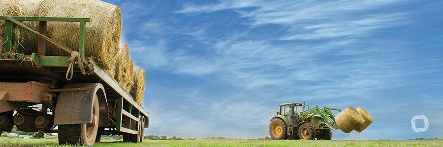 IFAD joins Lusophone member states and FAO to achieve sustainable family farming IFAD joins Lusophone member states and FAO to achieve sustainable family farming