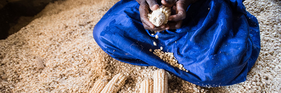 Together, public and private funding can end poverty and hunger Together, public and private funding can end poverty and hunger