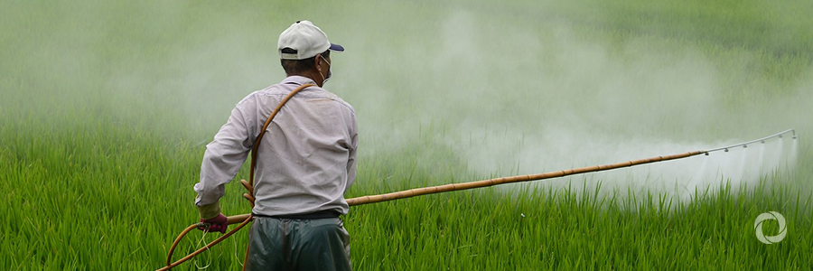 Reducing greenhouse gas emissions in agriculture with the help of nuclear techniques Reducing greenhouse gas emissions in agriculture with the help of nuclear techniques