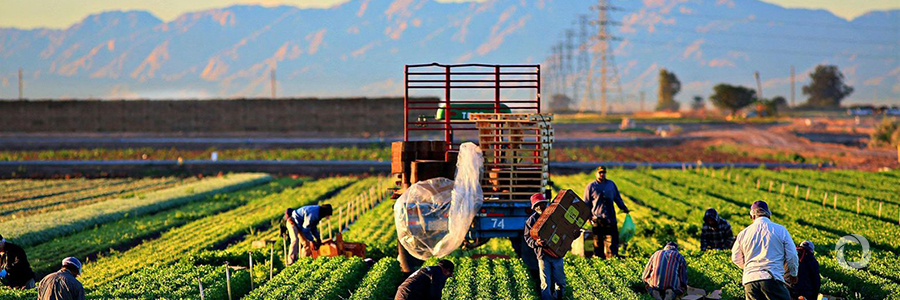 Those who produce food are among world’s hungriest Those who produce food are among world’s hungriest