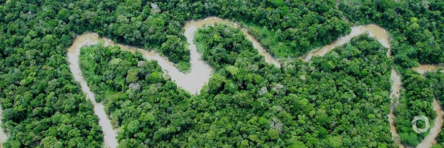 Peru: protecting the Amazon