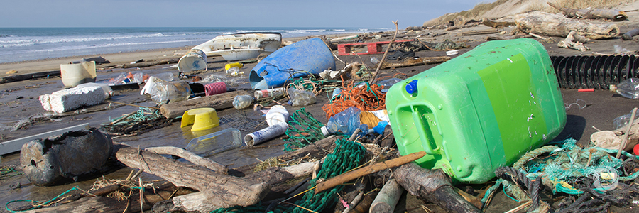 European Commission joins forces with world aquariums to fight plastic pollution European Commission joins forces with world aquariums to fight plastic pollution