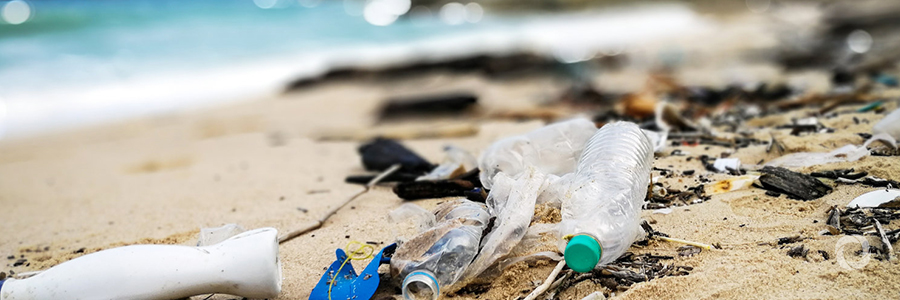 Global Commitment to eliminate plastic pollution at the source