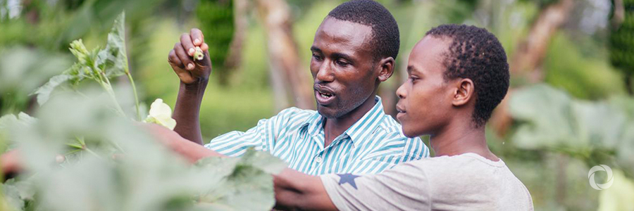 GIZ: Transforming agriculture and promoting employability through skills development