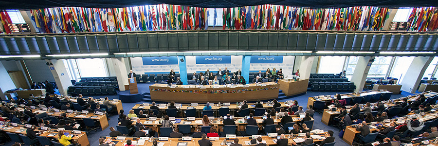 Committee on World Food Security focuses on food systems and nutrition Committee on World Food Security focuses on food systems and nutrition